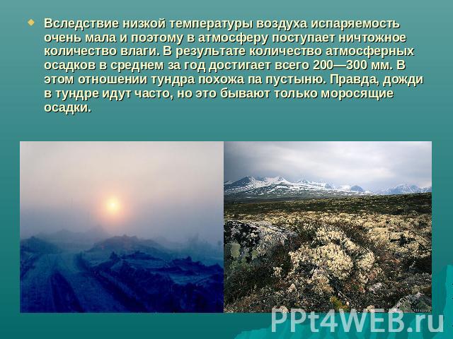 Вследствие низкой температуры воздуха испаряемость очень мала и поэтому в атмосферу поступает ничтожное количество влаги. В результате количество атмосферных осадков в среднем за год достигает всего 200—300 мм. В этом отношении тундра похожа па пуст…