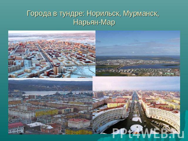 Города в тундре: Норильск, Мурманск, Нарьян-Мар
