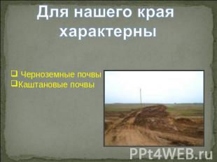 Для нашего края характерны Черноземные почвыКаштановые почвы