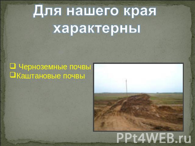 Для нашего края характерны Черноземные почвыКаштановые почвы