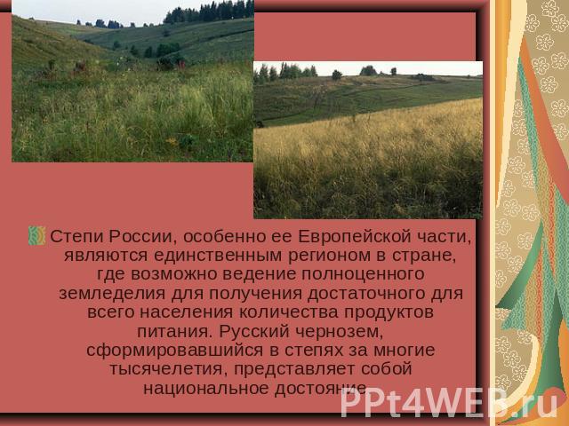 Степи России, особенно ее Европейской части, являются единственным регионом в стране, где возможно ведение полноценного земледелия для получения достаточного для всего населения количества продуктов питания. Русский чернозем, сформировавшийся в степ…