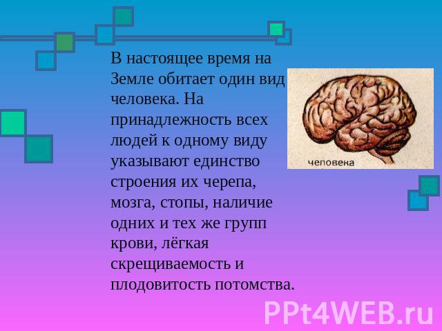 В настоящее время на Земле обитает один вид человека. На принадлежность всех людей к одному виду указывают единство строения их черепа, мозга, стопы, наличие одних и тех же групп крови, лёгкая скрещиваемость и плодовитость потомства.