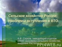 Сельское хозяйство России: проблемы вступления в ВТ