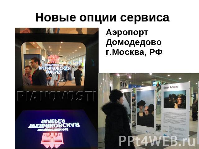 Новые опции сервиса Аэропорт Домодедово г.Москва, РФ