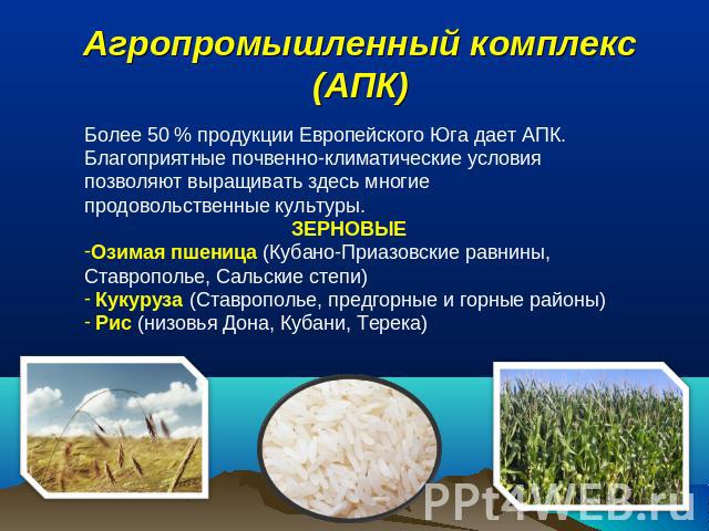 Агропромышленный комплекс (АПК) Более 50 % продукции Европейского Юга дает АПК.Благоприятные почвенно-климатические условия позволяют выращивать здесь многие продовольственные культуры.ЗЕРНОВЫЕОзимая пшеница (Кубано-Приазовские равнины, Ставрополье,…