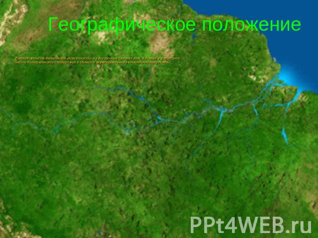 Географическое положение Расположены на Амазонской низменности, на восточных склонах Анд, а также в в северной части тихоокеанского побережья в области экваториального климатического пояса.