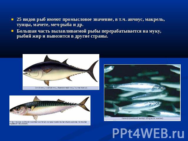 25 видов рыб имеют промысловое значение, в т.ч. анчоус, макрель, тунцы, мачете, меч-рыба и др. Большая часть вылавливаемой рыбы перерабатывается на муку, рыбий жир и вывозится в другие страны.