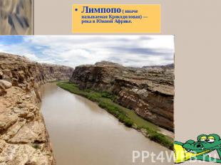 Лимпопо ( иначе называемая Крокодиловая) — река в Южной Африке.
