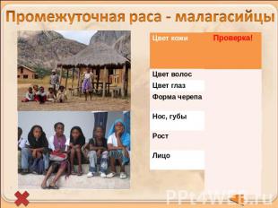 Промежуточная раса - малагасийцы