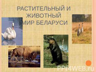 Растительный и животный мир Беларуси