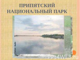 Припятский национальный парк