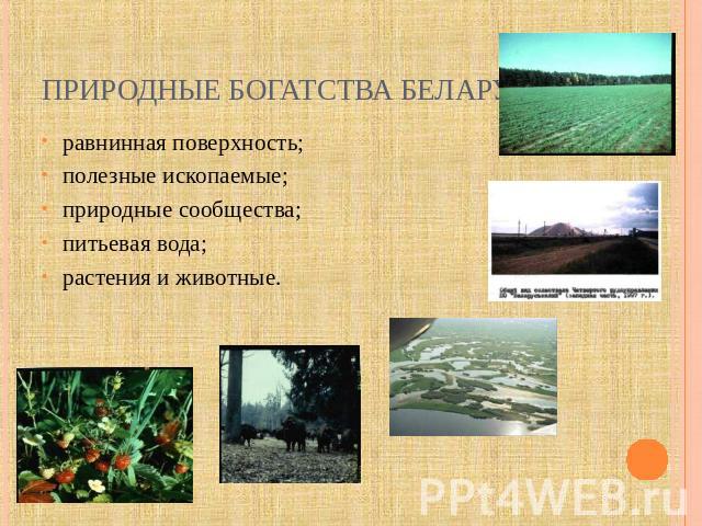 Природные богатства Беларуси равнинная поверхность;полезные ископаемые;природные сообщества;питьевая вода;растения и животные.