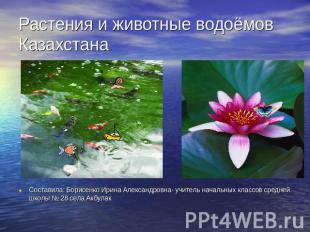 Растения и животные водоёмов Казахстана Составила: Борисенко Ирина Александровна