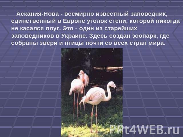 Аскания-Нова - всемирно известный заповедник, единственный в Европе уголок степи, которой никогда не касался плуг. Это - один из старейших заповедников в Украине. Здесь создан зоопарк, где собраны звери и птицы почти со всех стран мира.