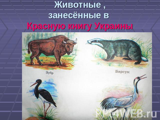 Животные ,занесённые в Красную книгу Украины