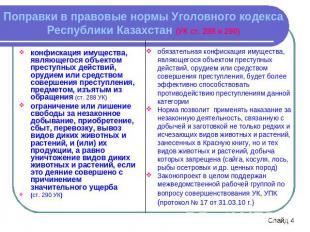 Поправки в правовые нормы Уголовного кодекса Республики Казахстан (УК ст. 288 и
