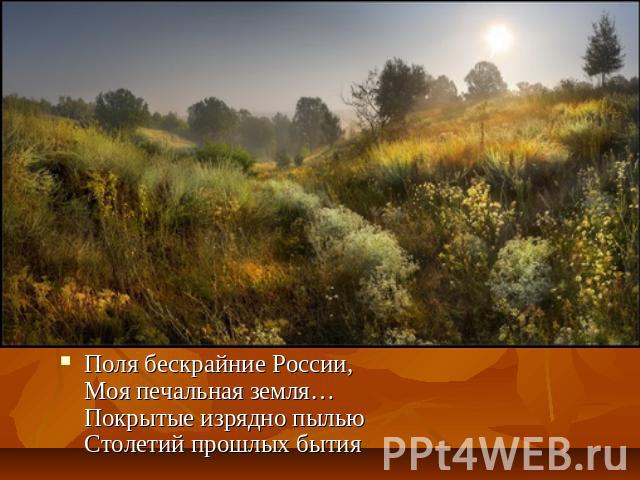 Поля бескрайние России,Моя печальная земля…Покрытые изрядно пыльюСтолетий прошлых бытия