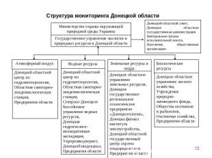 Структура мониторинга Донецкой области Министерство охраны окружающей природной