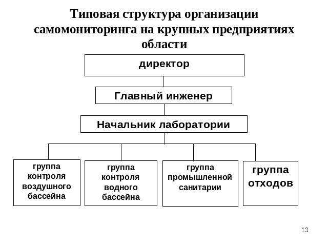 Типовая структура организации самомониторинга на крупных предприятиях области