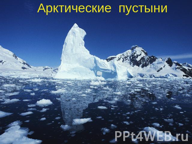 Арктические пустыни