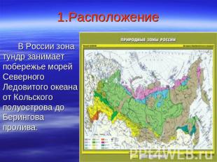 1.Расположение В России зона тундр занимает побережье морей Северного Ледовитого