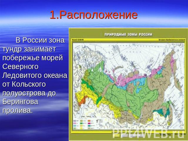 1.Расположение В России зона тундр занимает побережье морей Северного Ледовитого океана от Кольского полуострова до Берингова пролива.