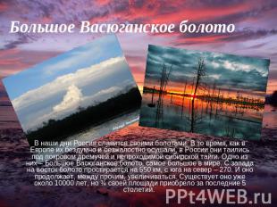 Большое Васюганское болото В наши дни Россия славится своими болотами. В то врем