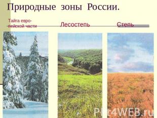 Природные зоны России Тайга евро-пейской части.ЛесостепьСтепь