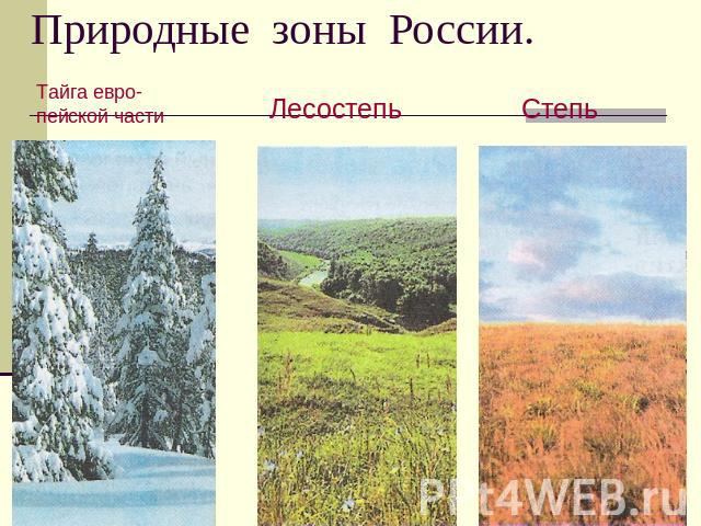 Природные зоны России Тайга евро-пейской части.ЛесостепьСтепь