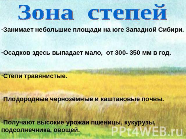 Зона степей Занимает небольшие площади на юге Западной Сибири.Осадков здесь выпадает мало, от 300- 350 мм в год.Степи травянистые.Плодородные чернозёмные и каштановые почвы.Получают высокие урожаи пшеницы, кукурузы, подсолнечника, овощей.