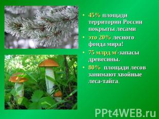 45% площади территории России покрыты лесами это 20% лесного фонда мира!75 млрд