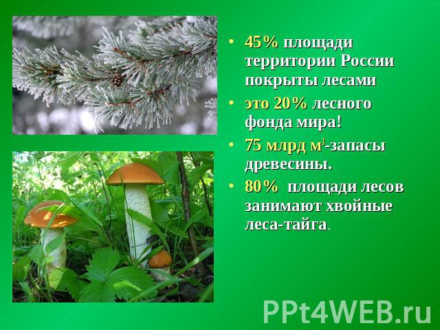 45% площади территории России покрыты лесами это 20% лесного фонда мира!75 млрд м3-запасы древесины.80% площади лесов занимают хвойные леса-тайга.