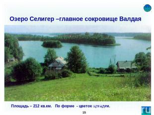Озеро Селигер –главное сокровище Валдая Площадь – 212 кв.км. По форме - цветок о