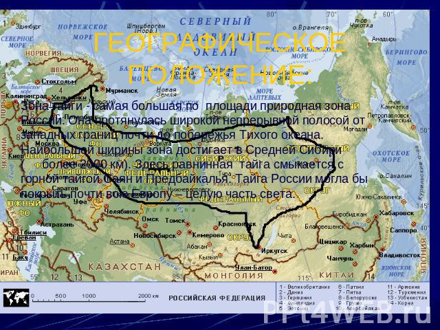 ГЕОГРАФИЧЕСКОЕ ПОЛОЖЕНИЕ: Зона тайги - самая большая по площади природная зона России. Она протянулась широкой непрерывной полосой от западных границ почти до побережья Тихого океана. Наибольшей ширины зона достигает в Средней Сибири ( более 2000 км…