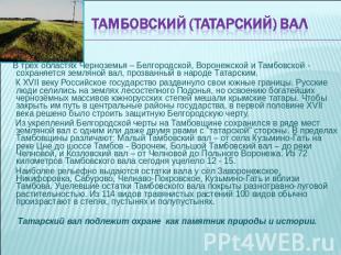 Тамбовский (Татарский) вал В трёх областях Черноземья – Белгородской, Воронежско
