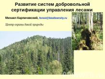 Развитие систем добровольной сертификации управления лесами