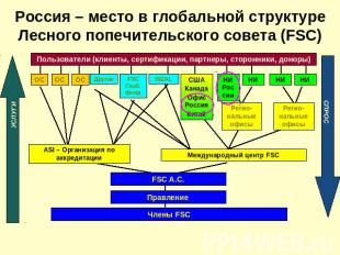 Россия – место в глобальной структуре Лесного попечительского совета (FSC)