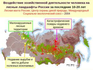Воздействие хозяйственной деятельности человека на лесные ландшафты России за по
