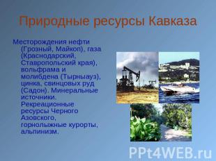 Природные ресурсы Кавказа Месторождения нефти (Грозный, Майкоп), газа (Краснодар