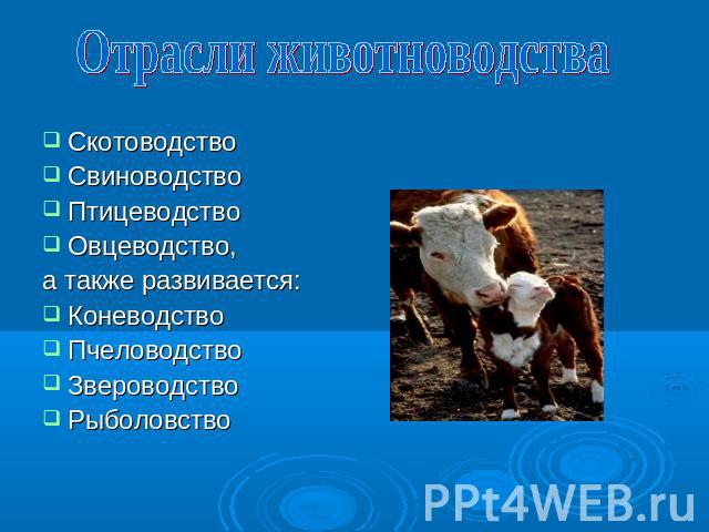 Отрасли животноводстваСкотоводствоСвиноводствоПтицеводствоОвцеводство, а также развивается:КоневодствоПчеловодствоЗвероводствоРыболовство