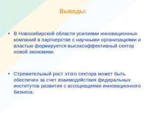 Выводы:В Новосибирской области усилиями инновационных компаний в партнерстве с н