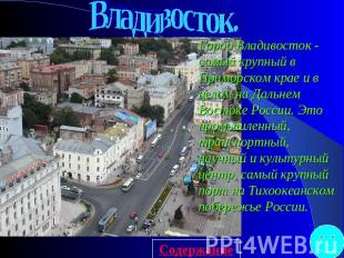 Владивосток.Город Владивосток - самый крупный в Приморском крае и в целом на Дал