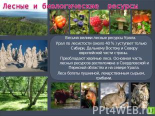 Лесные и биологические ресурсы Весьма велики лесные ресурсы Урала. Урал по лесис