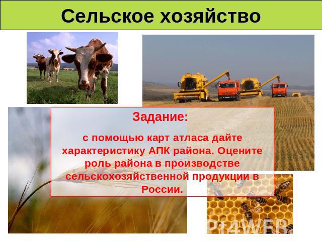 Сельское хозяйство Задание: с помощью карт атласа дайте характеристику АПК района. Оцените роль района в производстве сельскохозяйственной продукции в России.