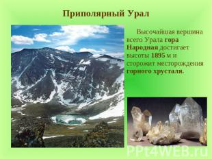 Приполярный Урал Высочайшая вершина всего Урала гора Народная достигает высоты 1