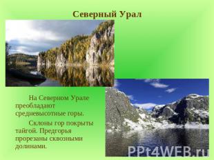 Северный Урал На Северном Урале преобладают средневысотные горы. Склоны гор покр