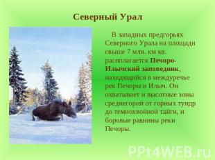 Северный Урал В западных предгорьях Северного Урала на площади свыше 7 млн. км к