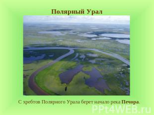 Полярный Урал С хребтов Полярного Урала берет начало река Печора.