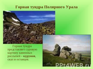 Горная тундра Полярного Урала Горная тундра представляет суровую картину каменны