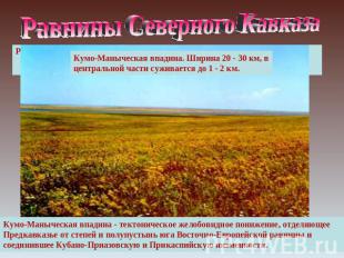 Равнины Северного Кавказа Кумо-Маныческая впадина. Ширина 20 - 30 км, в централь